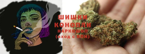 шишки Дмитровск