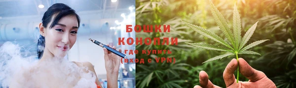 apvp Дмитриев