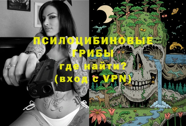 гидра Дмитров
