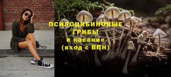 шишки Дмитровск