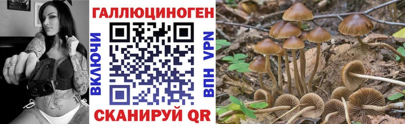 Псилоцибиновые грибы GOLDEN TEACHER  Шали 